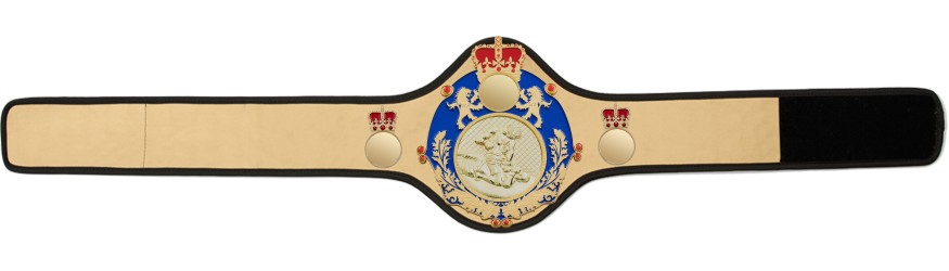 QUEENSBURY PRO LEATHER MMA CHAMPIONSHIP BELT - QUEEN/BLUE/S/MMAG -10+ COLOURS QUEENSBURY PRO LEATHER MMA CHAMPIONSHIP BELT - QUEEN/BLUE/S/MMAG -10+ COLOURS